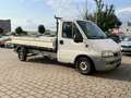 Fiat Ducato 244.Fiat Ducato 15 2.3 JTD offener kasten 81kw Blanc - thumbnail 1