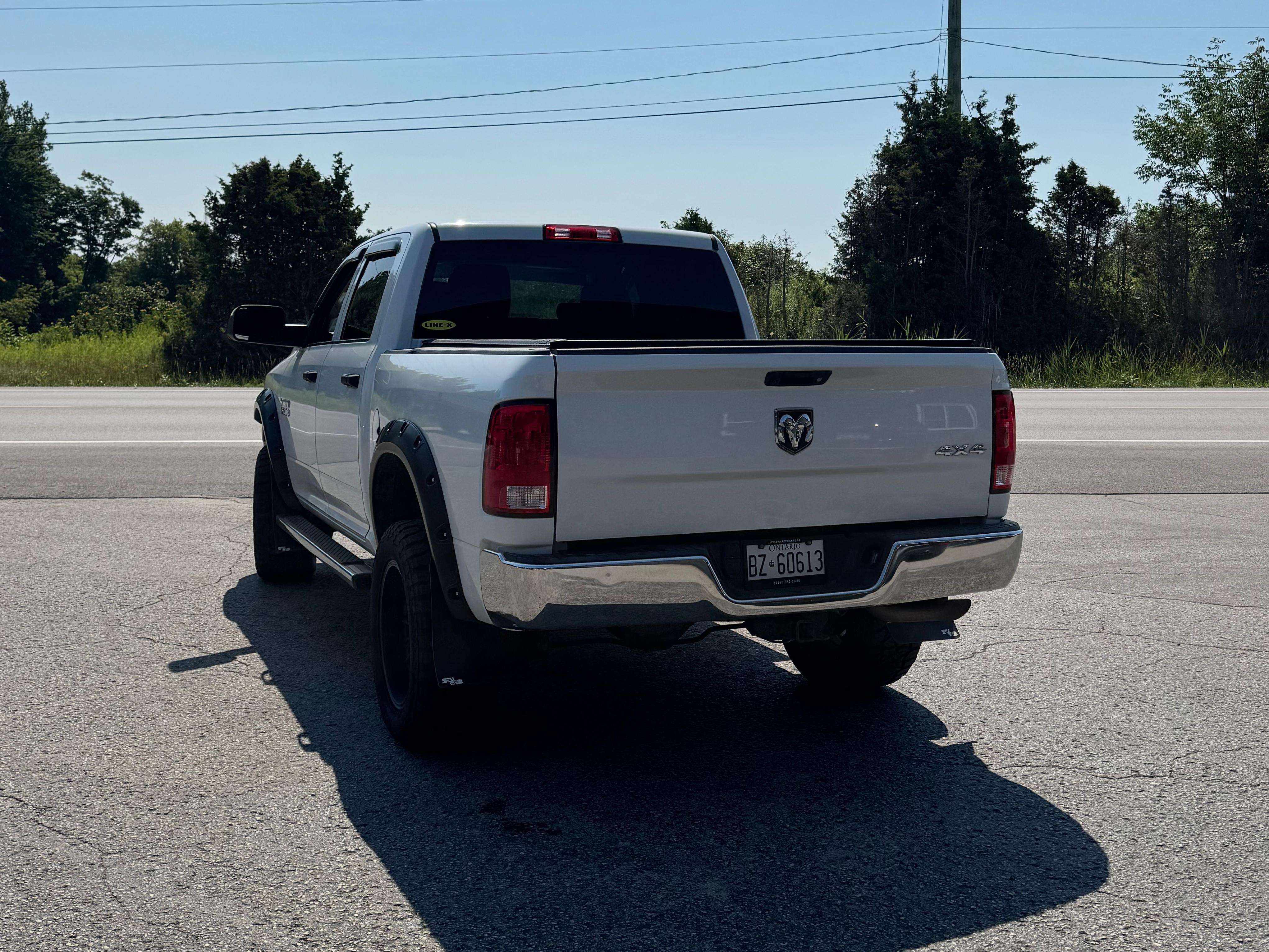 Image 8