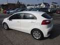 Kia Rio Attract Weiß - thumbnail 6