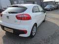 Kia Rio Attract Weiß - thumbnail 4
