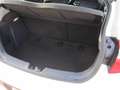 Kia Rio Attract Weiß - thumbnail 14