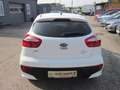 Kia Rio Attract Weiß - thumbnail 5