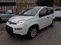 Fiat New Panda 1000 HYBRID PANDA 70CV KM 0 Blanco - thumbnail 2