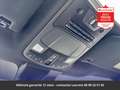 Ford Raptor SuperCrew 4x4 Tout compris hors homologatio Синій - thumbnail 13