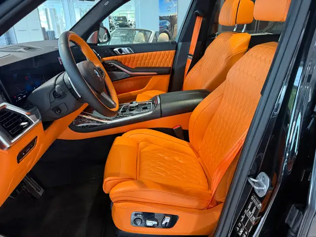 BMW X7 view 10