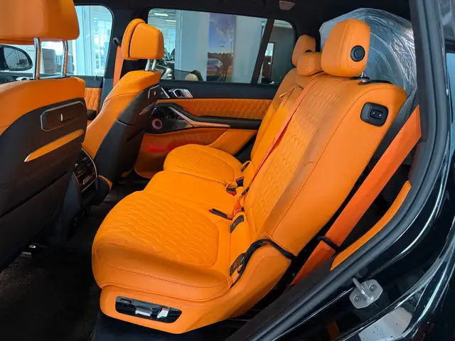 BMW X7 view 13