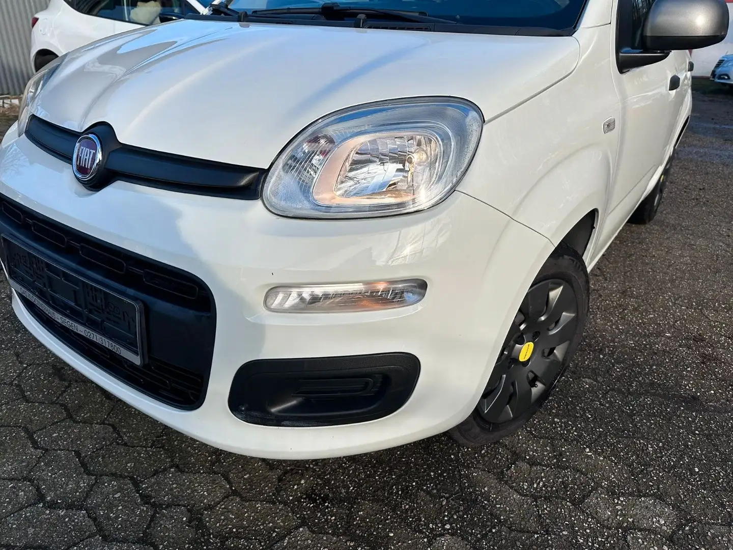 Fiat Panda Young KLIMA NUR:85.000 KM Weiß - 2