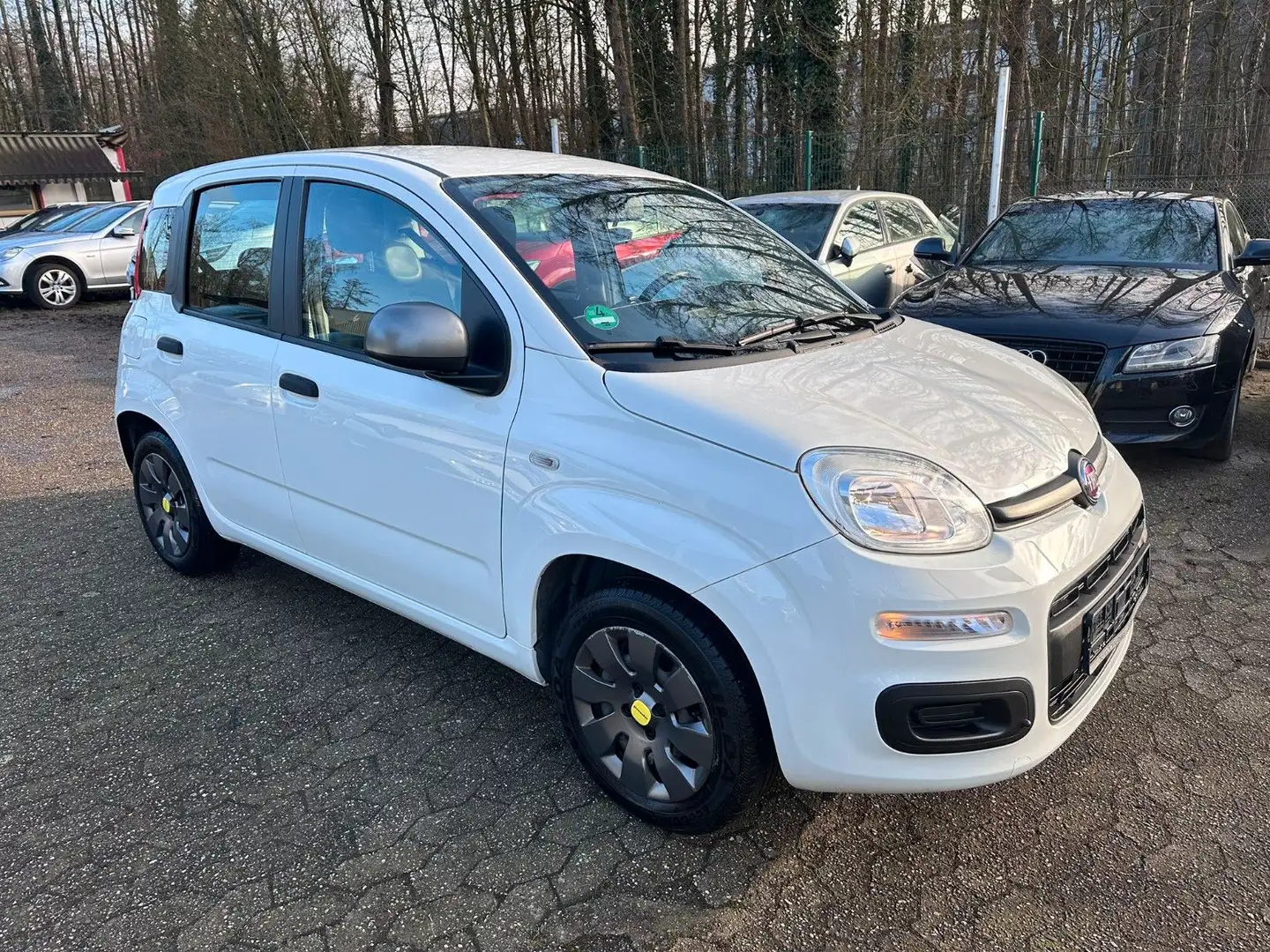 Fiat Panda Young KLIMA NUR:85.000 KM Weiß - 1