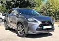 Lexus NX 300h 300h 4WD Luxe Grau - thumbnail 3
