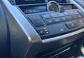 Lexus NX 300h 300h 4WD Luxe Grau - thumbnail 15