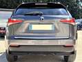 Lexus NX 300h 300h 4WD Luxe Grau - thumbnail 6