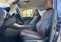Lexus NX 300h 300h 4WD Luxe Grau - thumbnail 10