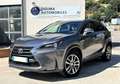 Lexus NX 300h 300h 4WD Luxe Grau - thumbnail 1