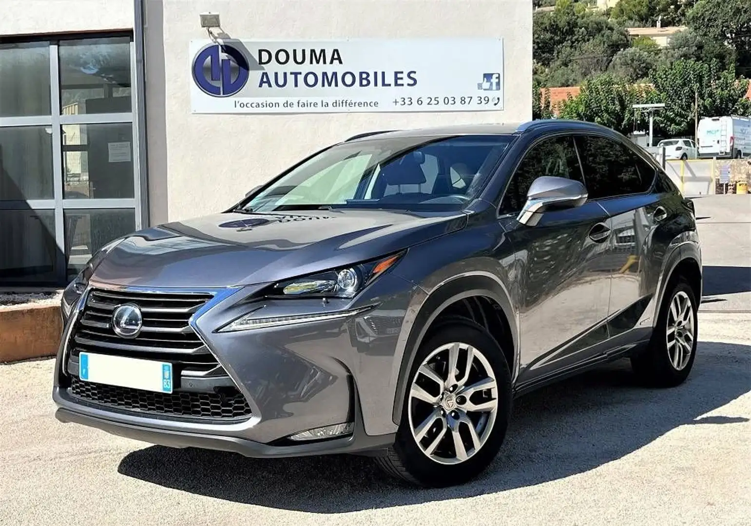 Lexus NX 300h 300h 4WD Luxe Grau - 1