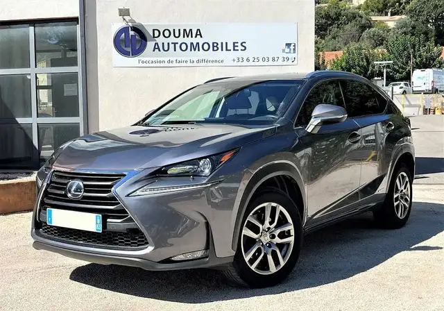 Lexus NX 300h 300h 4WD Luxe