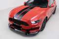 Ford Mustang Fastback 5.0 ti-vct V8 GT 421cv Versione Europea Rosso - thumbnail 4