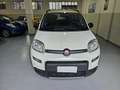 Fiat Panda 4x4 Blanc - thumbnail 2