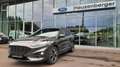 Ford Kuga 2,0 EcoBlue ST-Line X Aut. AWD,AHK Grau - thumbnail 1