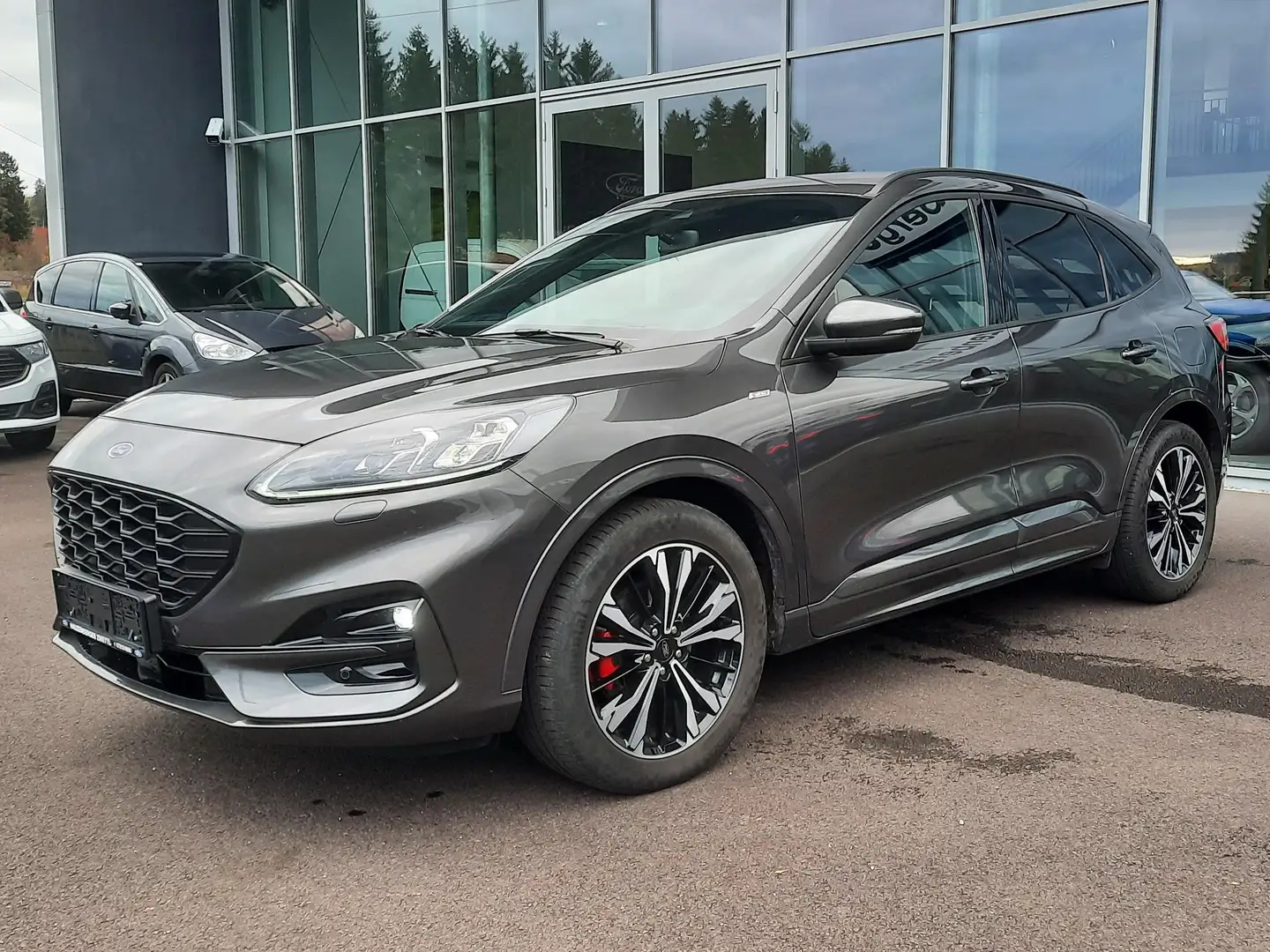 Ford Kuga 2,0 EcoBlue ST-Line X Aut. AWD,AHK Grau - 2