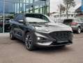 Ford Kuga 2,0 EcoBlue ST-Line X Aut. AWD,AHK Grau - thumbnail 6