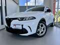 Alfa Romeo Tonale ALFA ROMEO TONALE 1.6 MJT 130 CV SPRINT - 2023 Bianco - thumbnail 2