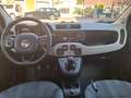 Fiat Panda 1.3 MJT 95 CV S&S City Cross UNICO PROPRIETARIO Gris - thumbnail 11