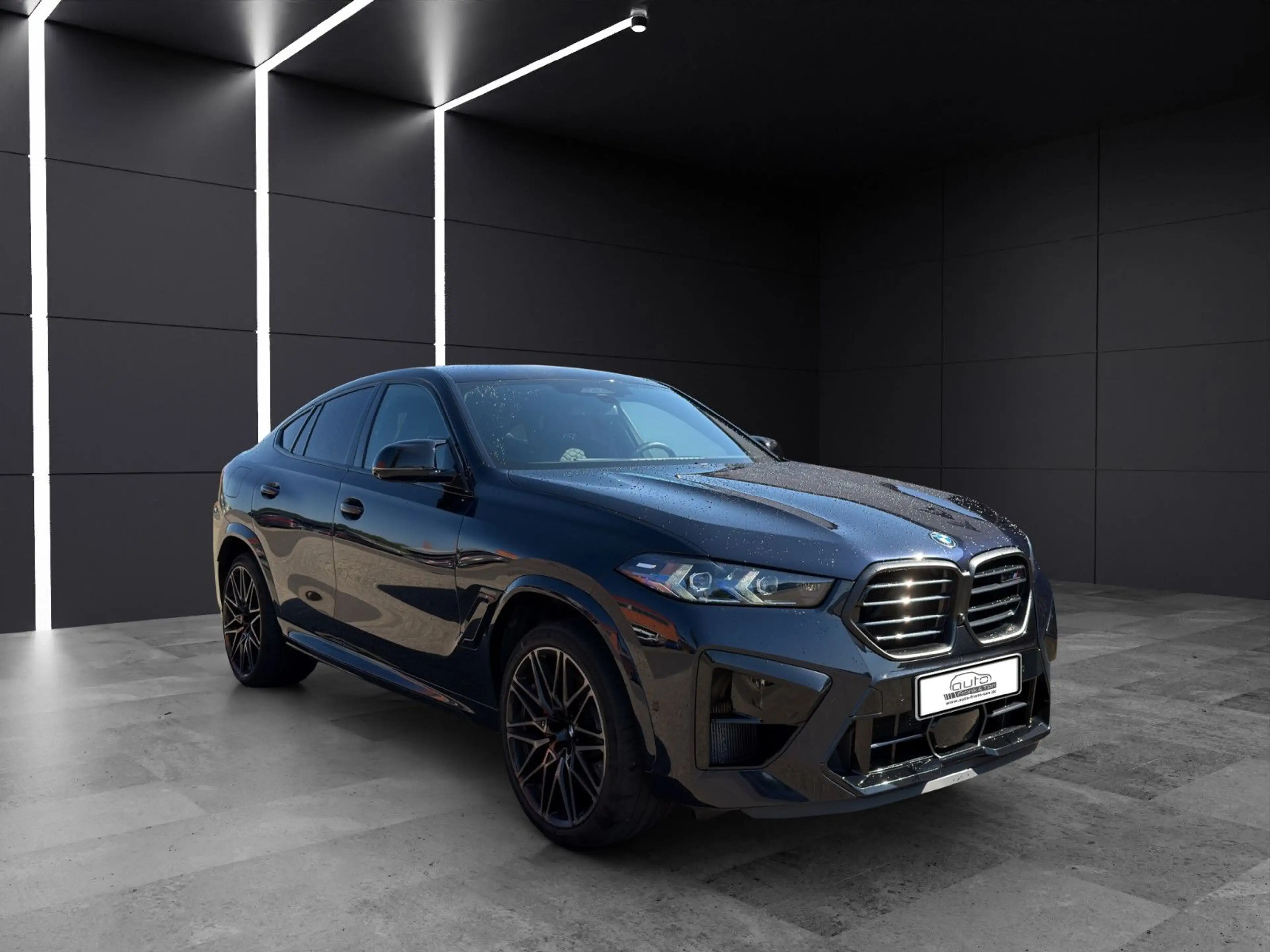 BMW X6 M Competition/Massage/Shadow/360°/H&K — photo 7