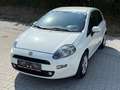Fiat Punto 1.3 JTD Weiß - thumbnail 4