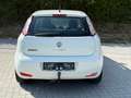 Fiat Punto 1.3 JTD Weiß - thumbnail 7