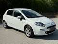 Fiat Punto 1.3 JTD Weiß - thumbnail 5