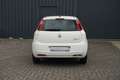 Fiat Grande Punto 1.2 8v Klima Stoff Blanc - thumbnail 6