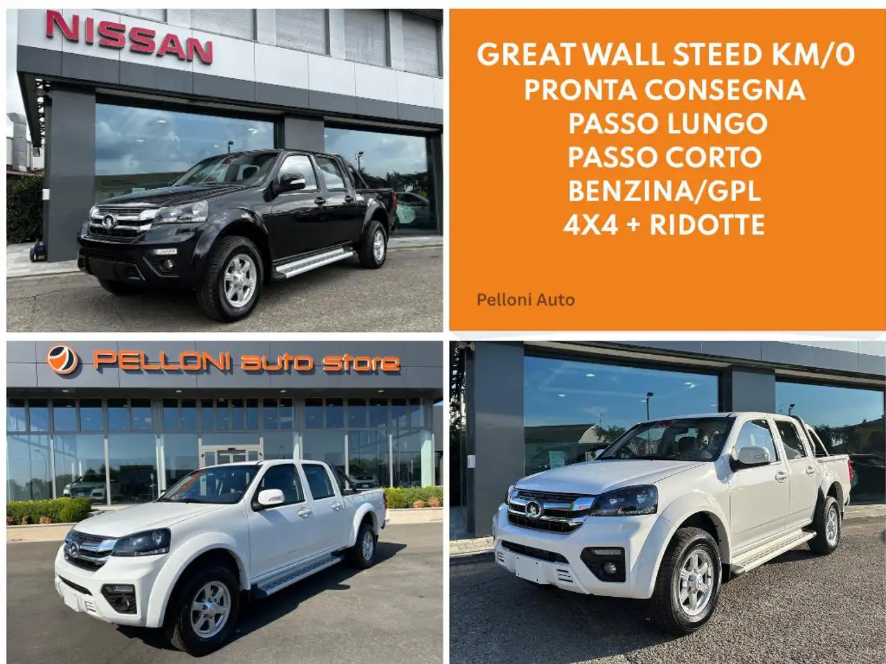 Great Wall Steed 2026