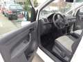 Volkswagen Caddy Kasten 1,6L TDI Klima,AHK,eFh,Tagfahrlicht Weiß - thumbnail 9