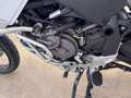 Ducati DesertX 937 MY 2024 Bianco - thumbnail 9