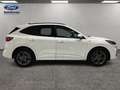 Ford Kuga 1.5 ECOBLUE 88KW ST-LINE 5P Blanco - thumbnail 6
