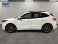 Ford Kuga 1.5 ECOBLUE 88KW ST-LINE 5P Blanco - thumbnail 2