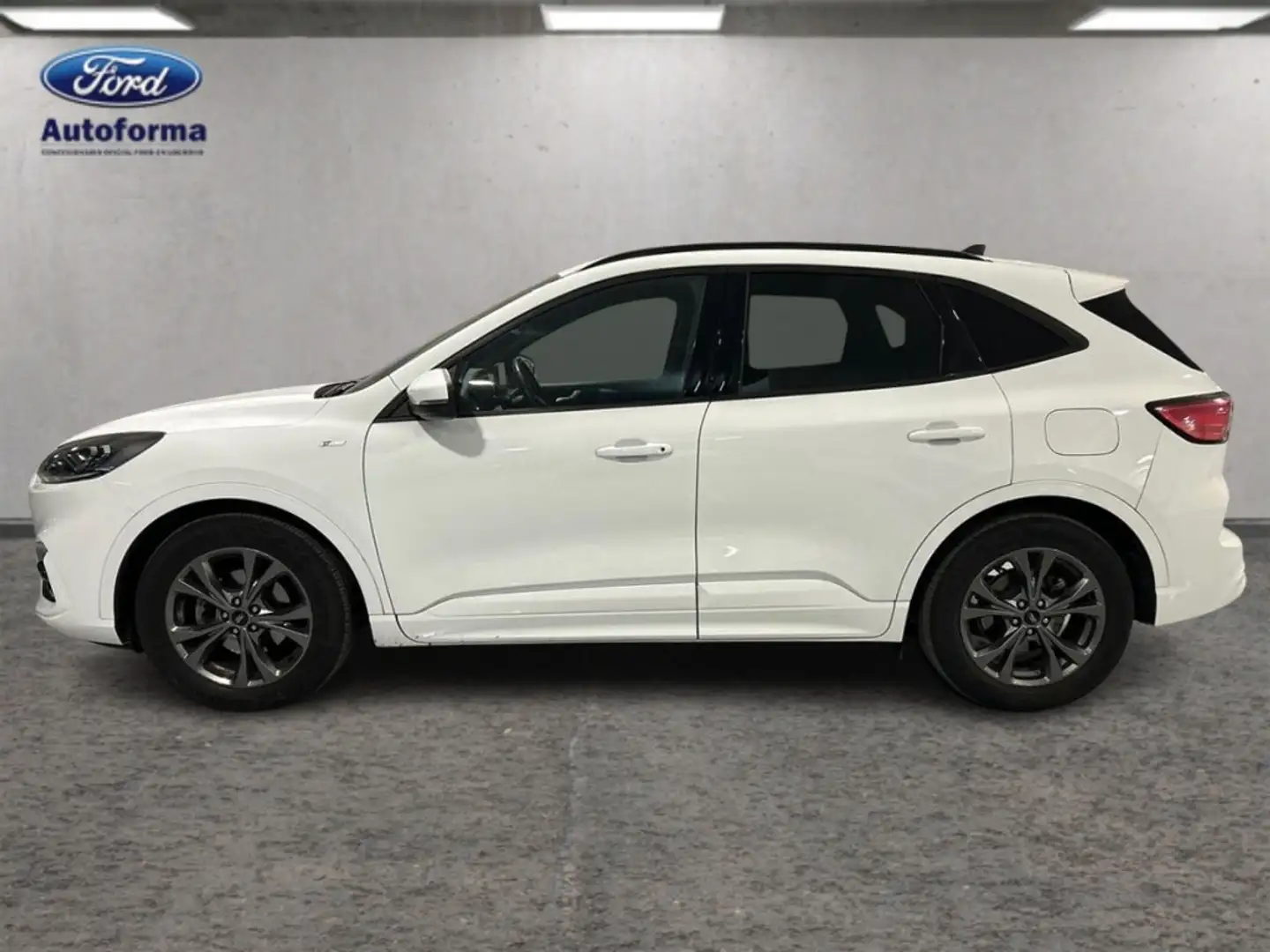 Ford Kuga 1.5 ECOBLUE 88KW ST-LINE 5P Blanco - 2
