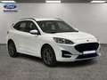 Ford Kuga 1.5 ECOBLUE 88KW ST-LINE 5P Blanco - thumbnail 7