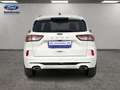 Ford Kuga 1.5 ECOBLUE 88KW ST-LINE 5P Blanco - thumbnail 4