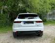 Jaguar E-Pace E-Pace P250 AWD Aut. S Weiß - thumbnail 2