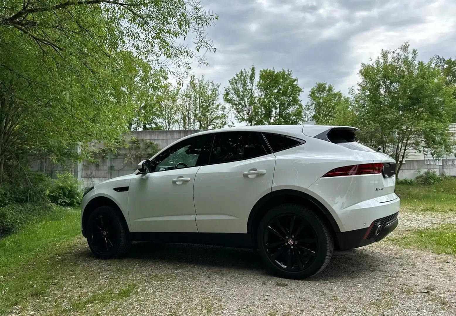 Jaguar E-Pace E-Pace P250 AWD Aut. S Weiß - 1