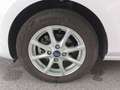 Ford Fiesta 1,0 *Titanium* I 20.000 KM I Weiß - thumbnail 21