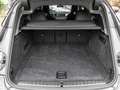 BMW iX xDrive40 SkyLounge H&K Sound Laser PA Prof Da Prof Grau - thumbnail 17