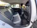 BMW 318 G20 LCI 318i 318ia Facelift (2) 156 ch Business Design BVA8 1e main Origine FR Blanc - thumbnail 22