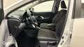 Toyota Yaris 116h Dynamic Business 5p + Programme Beyond Zero Academy MY22 - thumbnail 12