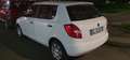 Skoda Fabia Fabia II 2007 Berlina 1.6 tdi cr Active 75cv Bianco - thumbnail 4