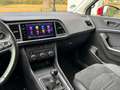 SEAT Ateca 1.5 TSI Style Business Intense Rot - thumbnail 20