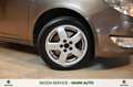 Skoda Roomster 1.6 TDI CR 90CV Easy - TAGLIANDI Ufficiali SKODA Marrone - thumbnail 6