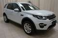 Land Rover Discovery Sport SD4 177kW HSE LUXURY Bianco - thumbnail 1