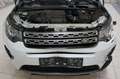 Land Rover Discovery Sport SD4 177kW HSE LUXURY Bianco - thumbnail 9